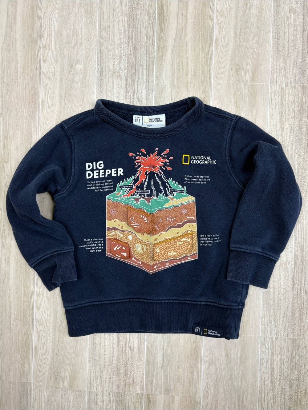 GAP Kids National Geographic Sweatshirt w/ Volcano & Dinosaurs Toddler Size 3